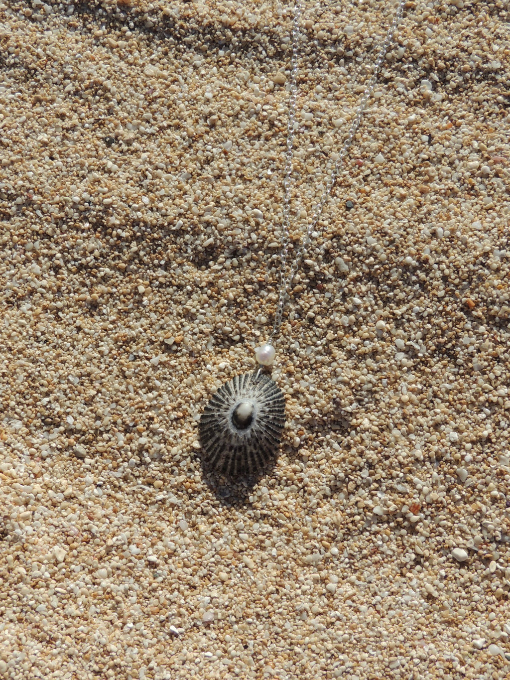 Opihi Shell Necklace