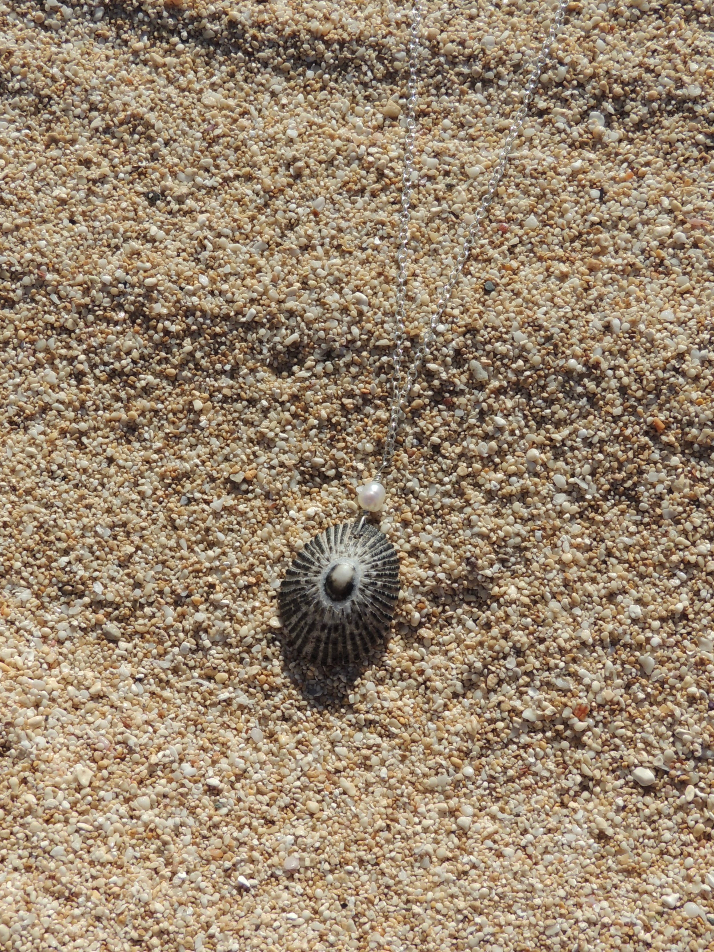 Opihi Shell Necklace