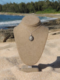 Opihi Shell Necklace