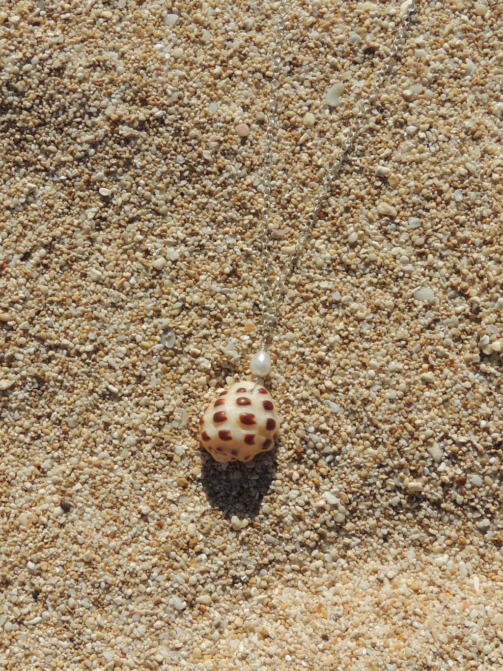 Drupe Shell Necklace