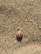 Drupe Shell Necklace