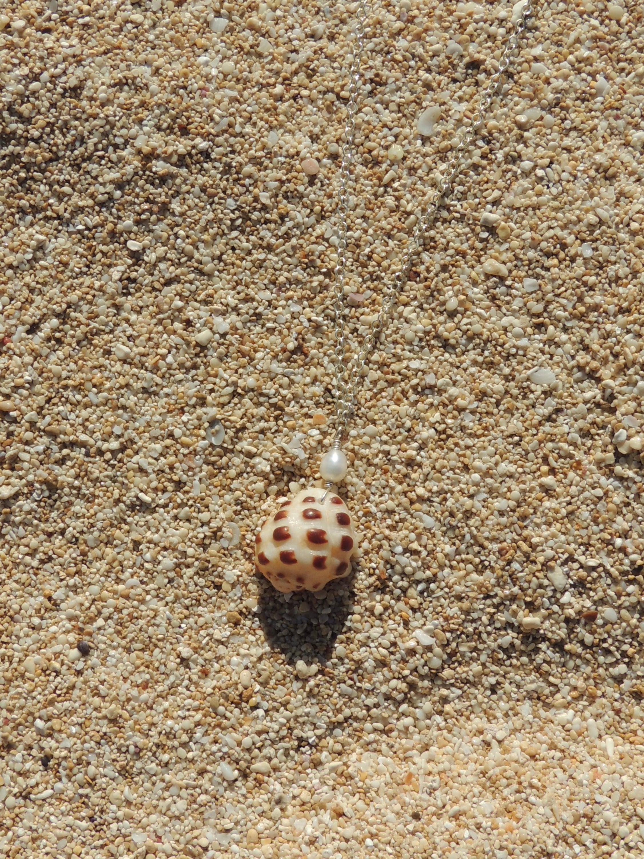 Drupe Shell Necklace