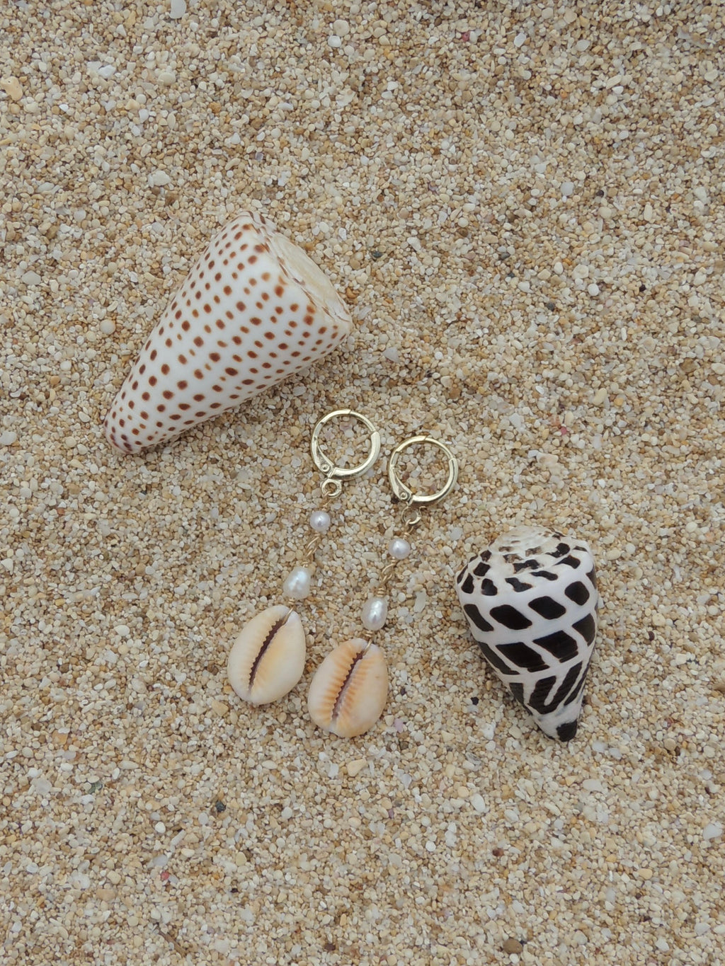 Honey Cowrie Shell Huggies