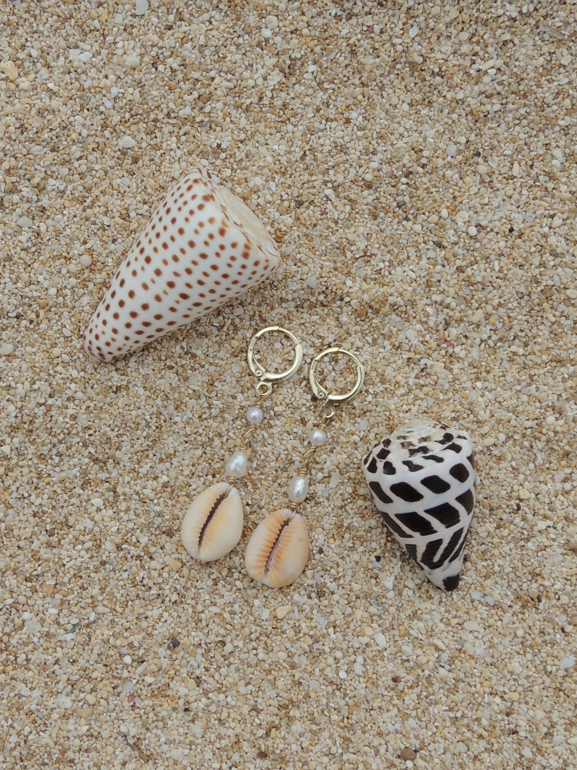 Honey Cowrie Shell Huggies