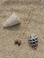 Brown Shell Threaders