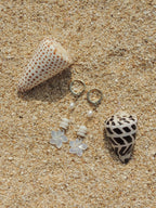 Puka Shell / Plumeria Charm Huggies
