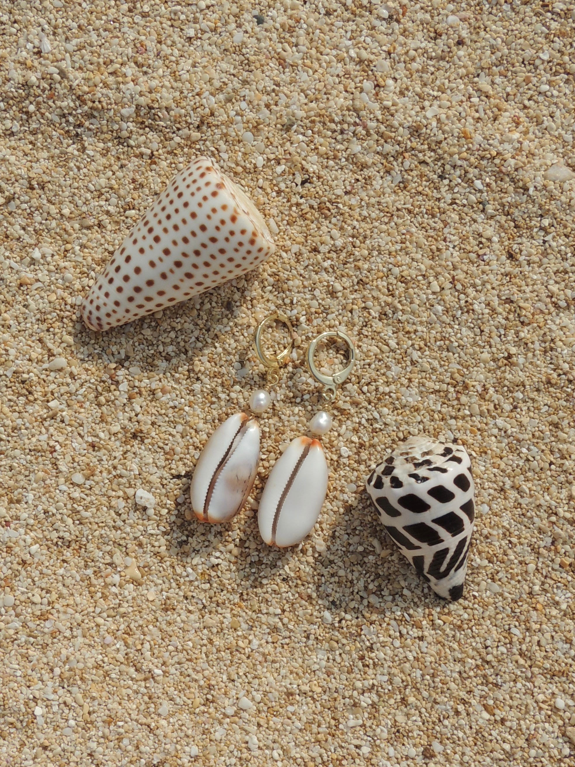 Isabella Cowrie Shell Huggies