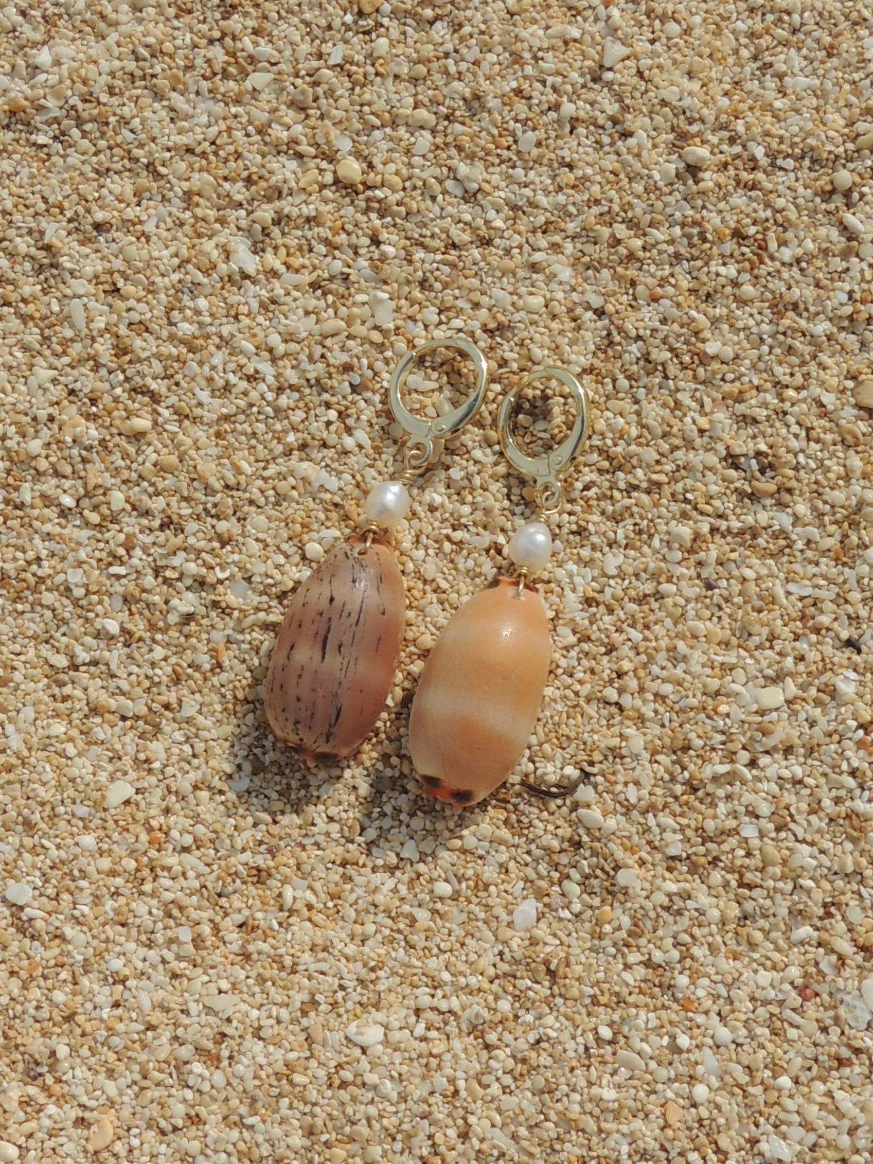 Isabella Cowrie Shell Huggies