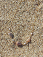 Cone Shell Choker Necklace