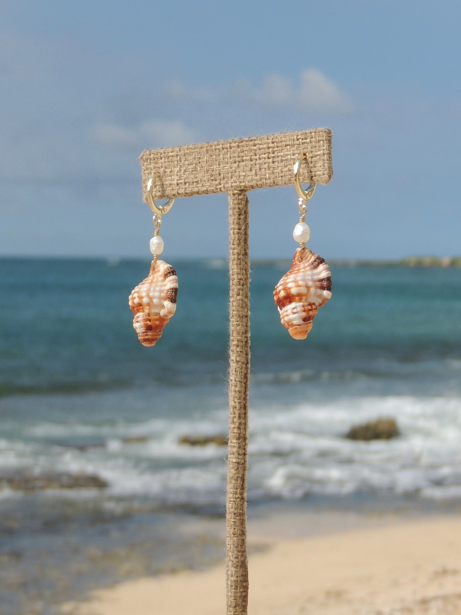 Triton Shell Huggies
