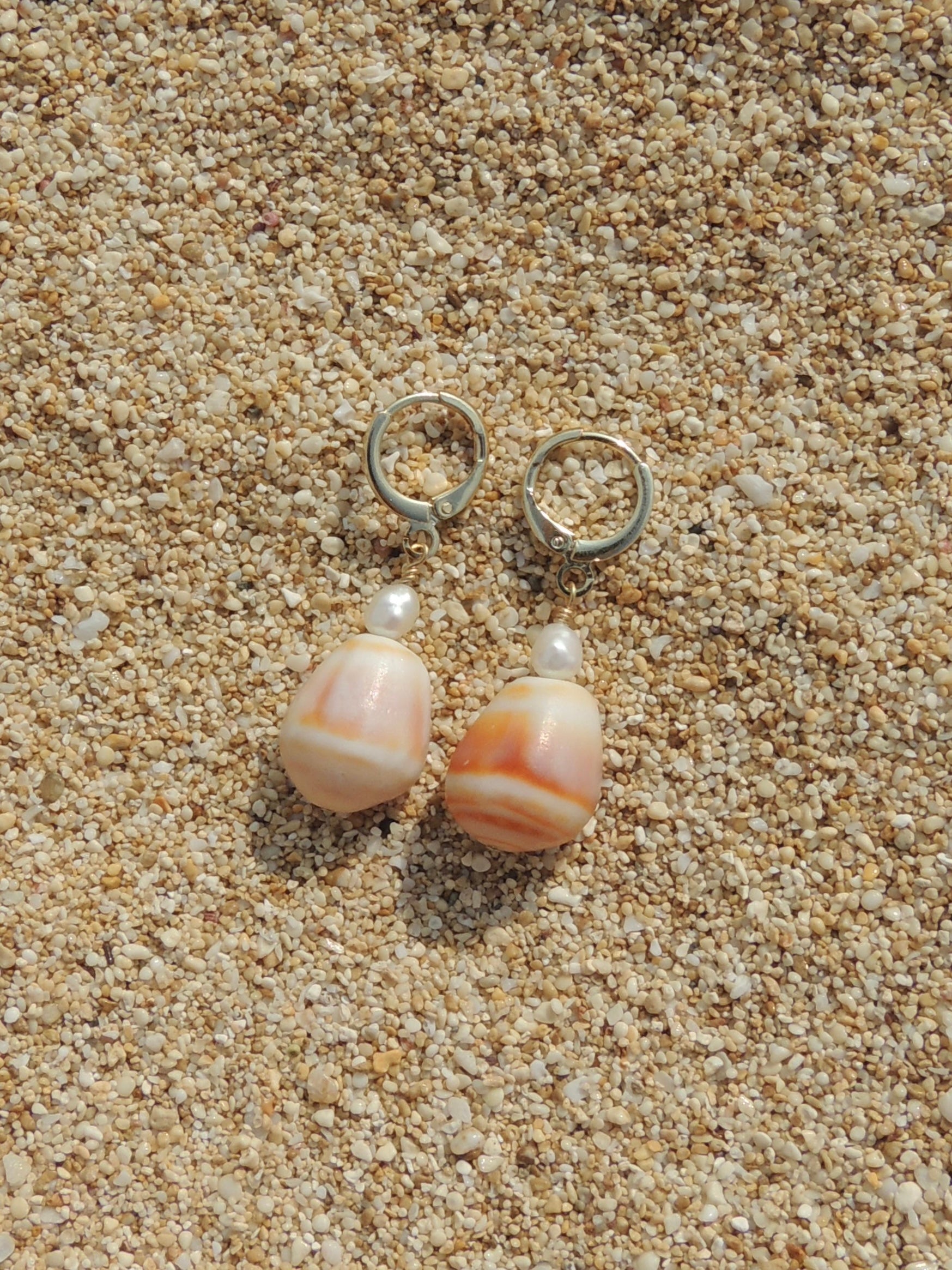 Cone Shell Huggies