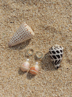 Cone Shell Huggies