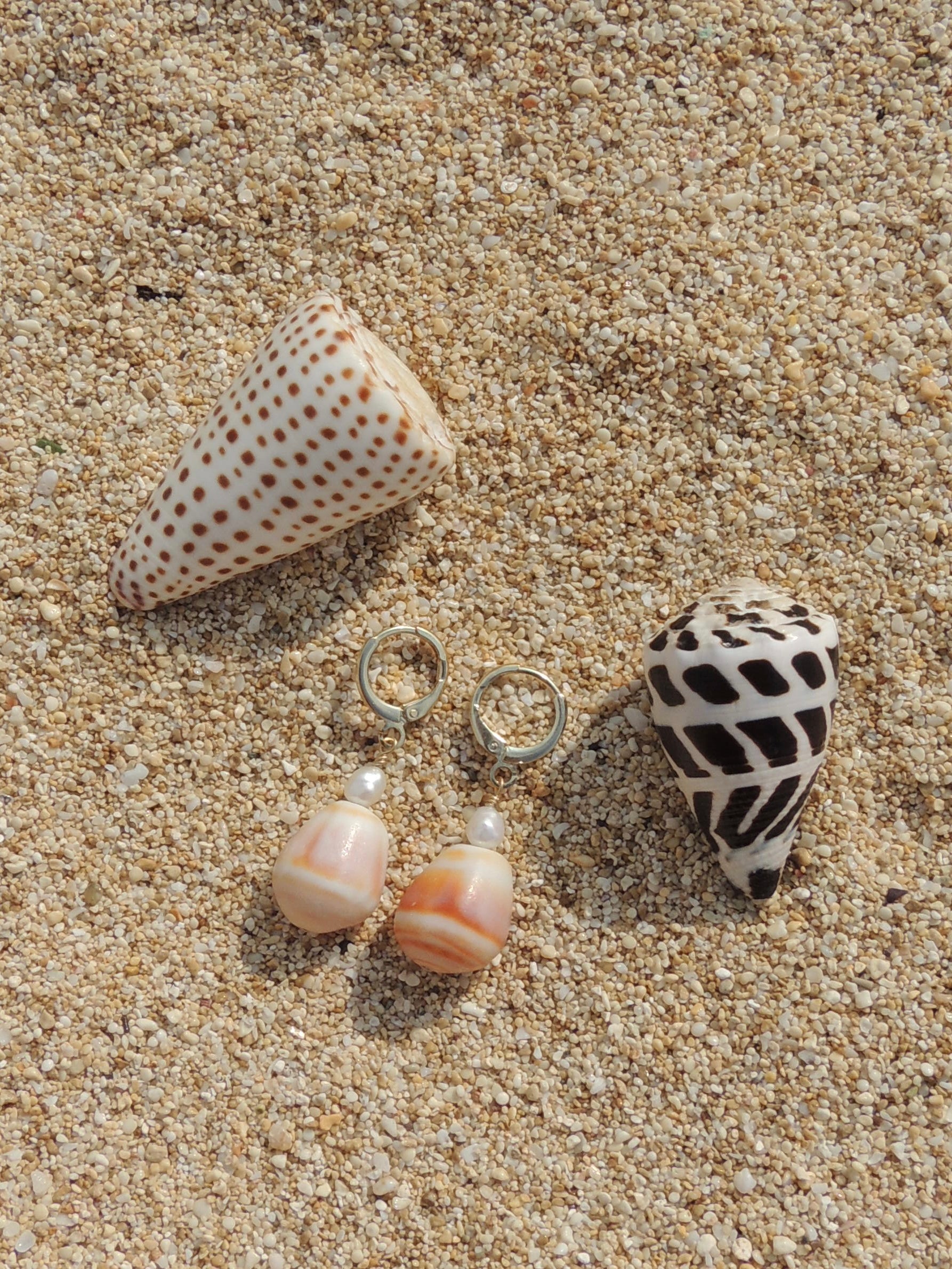 Cone Shell Huggies