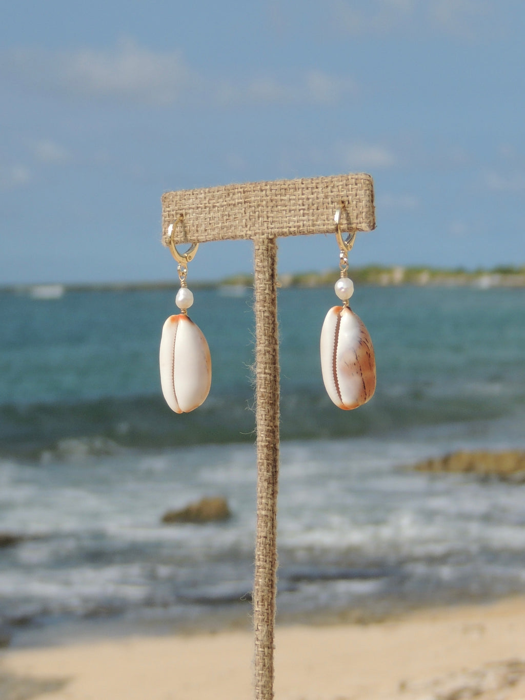 Isabella Cowrie Shell Huggies