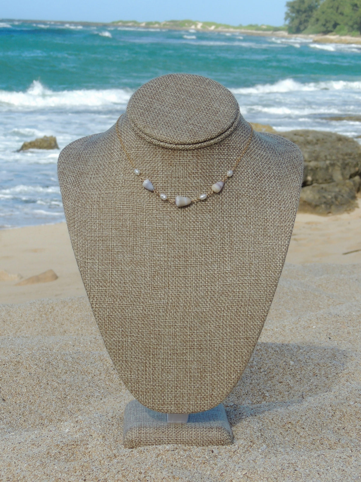 Cone Shell Choker Necklace
