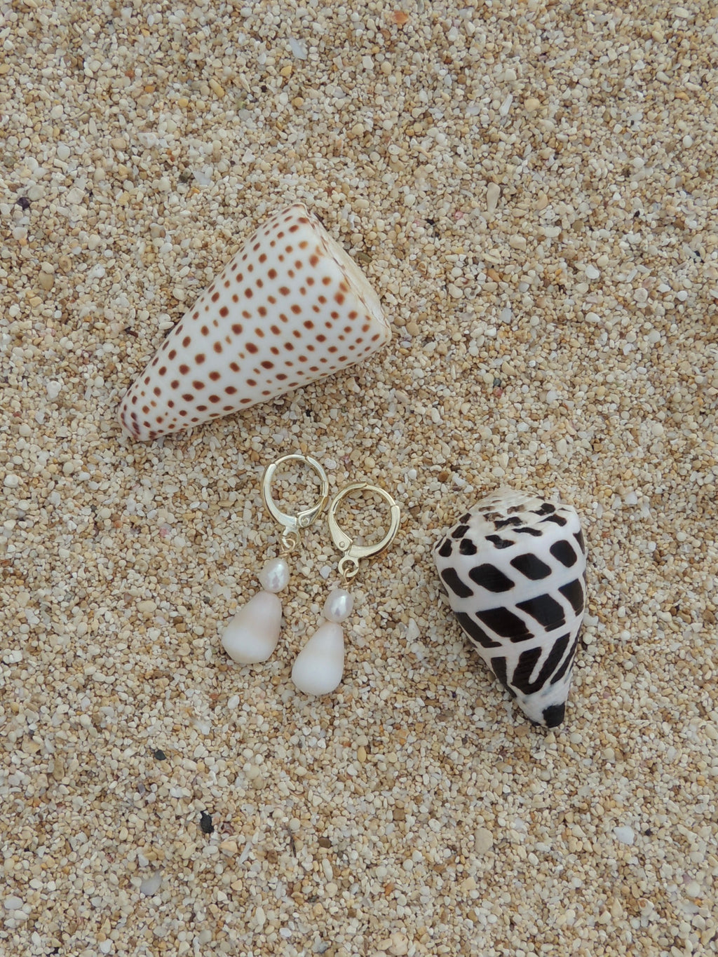 Cone Shell Huggies