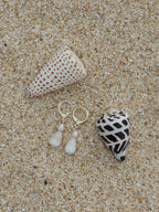 Cone Shell Huggies