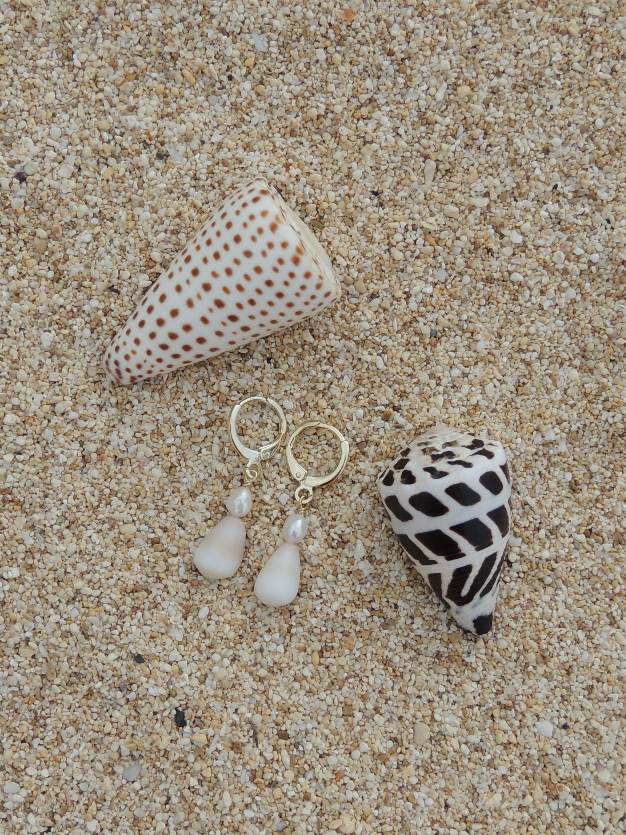 Cone Shell Huggies