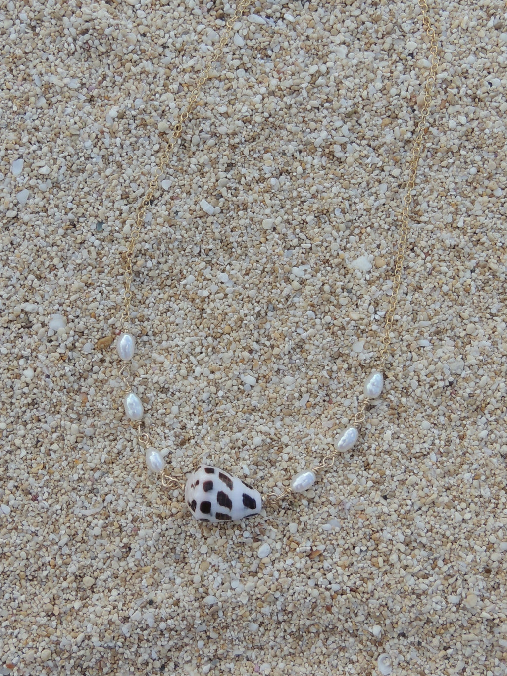 Hebrew Cone Shell Choker Necklace