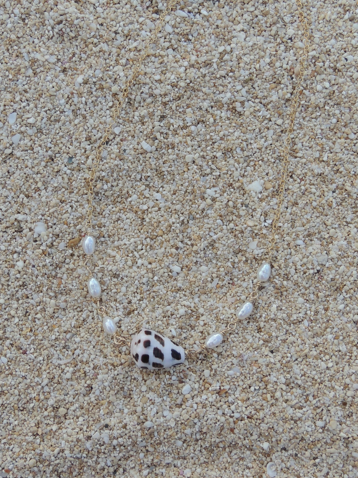 Hebrew Cone Shell Choker Necklace