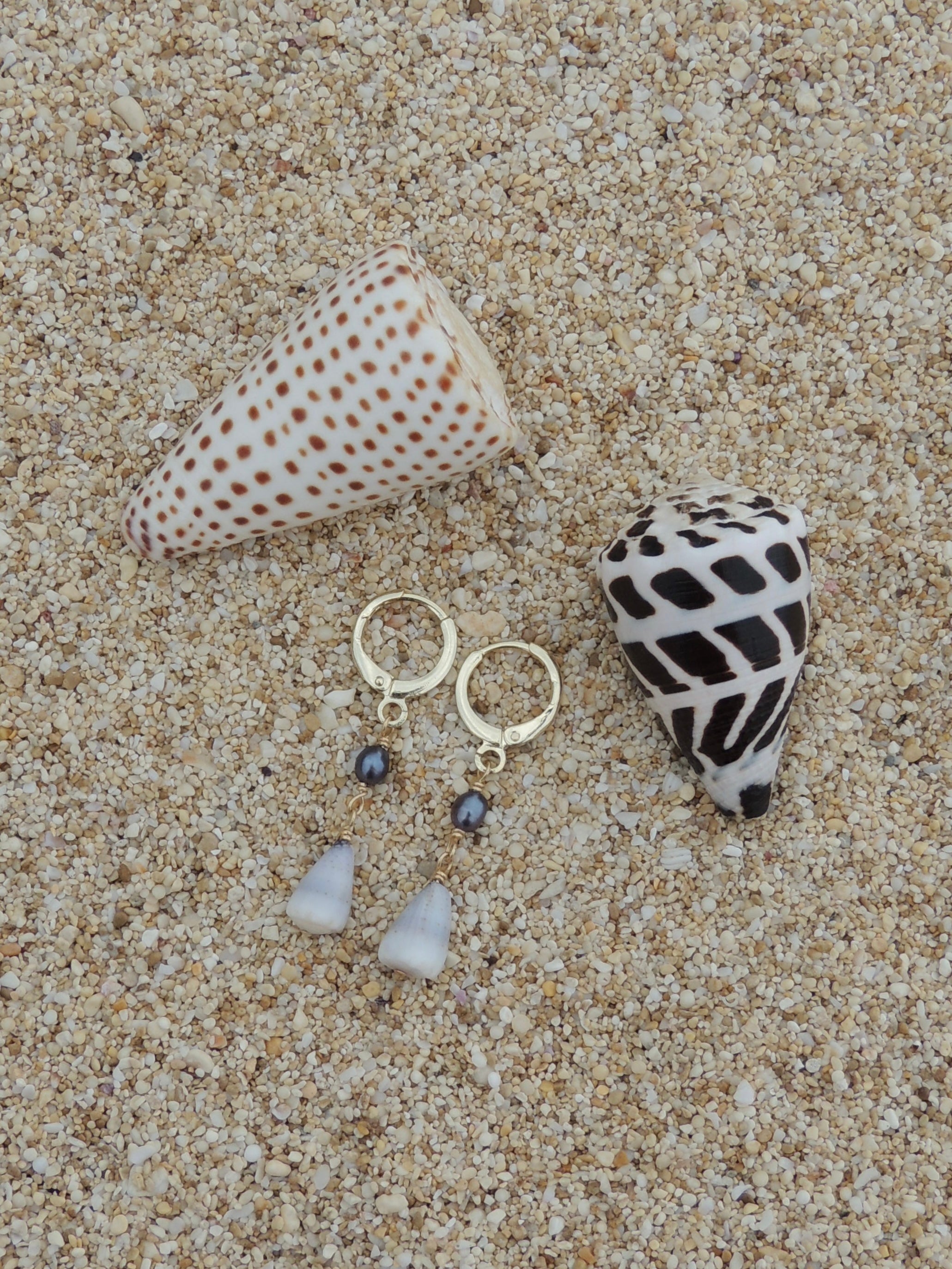 Cone Shell Huggies