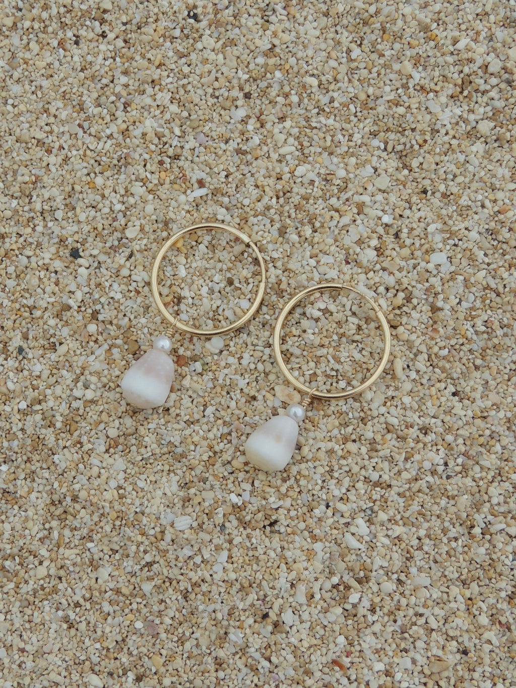 Cone Shell Hoops