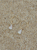 Cone Shell Hoops