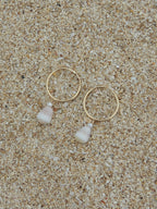 Cone Shell Hoops
