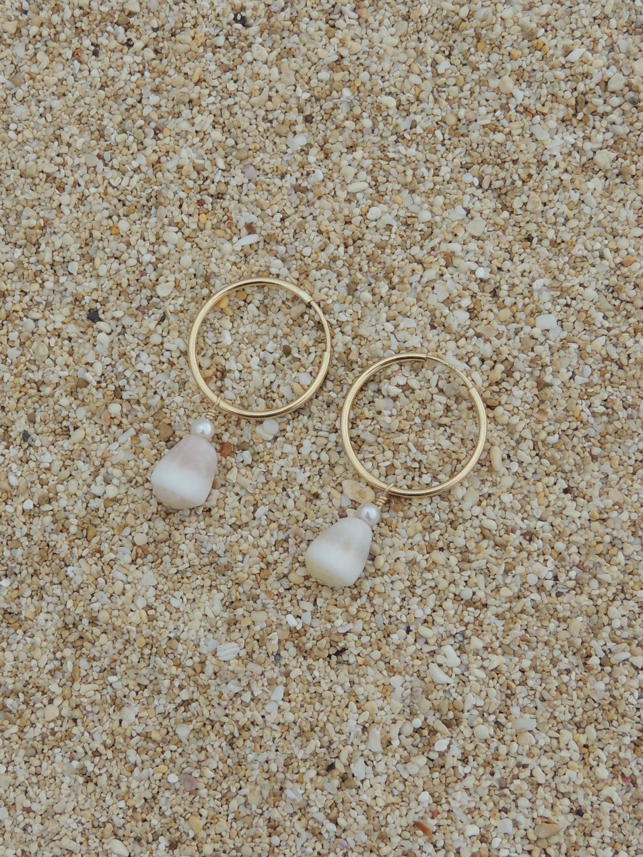 Cone Shell Hoops