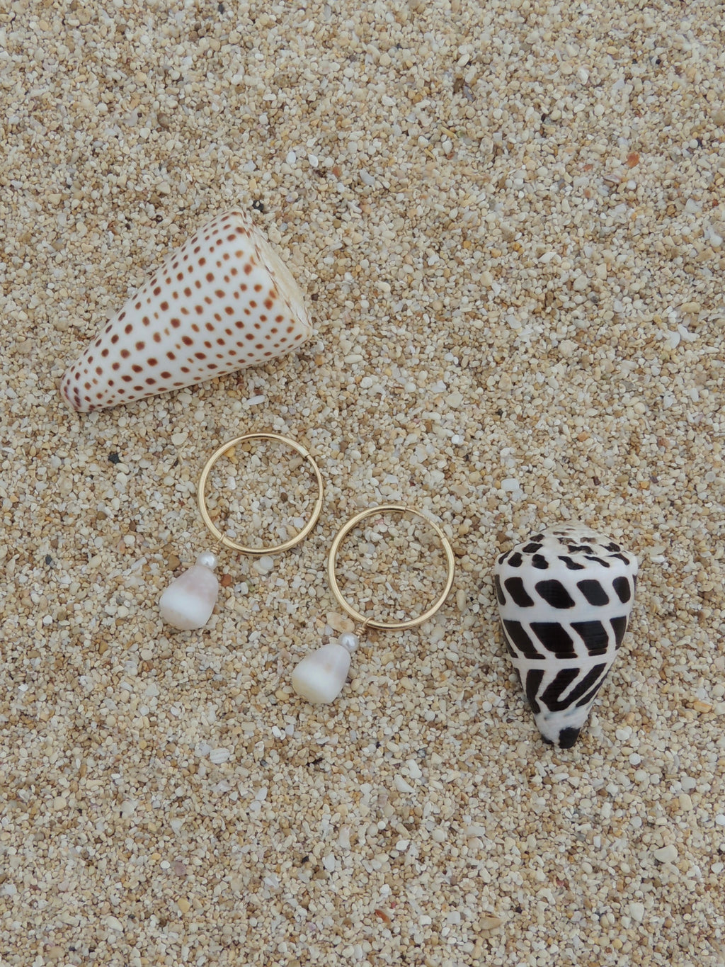Cone Shell Hoops