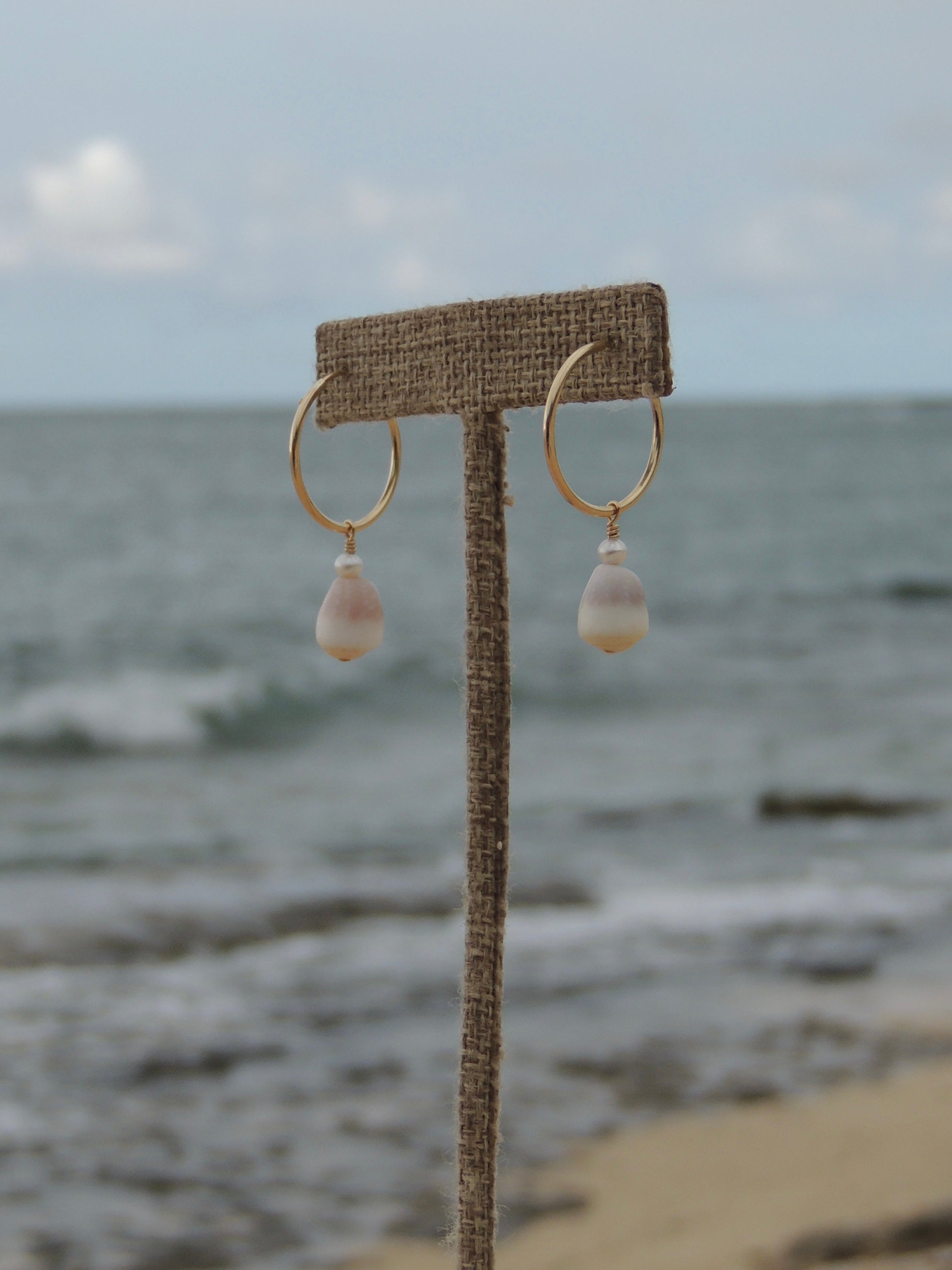 Cone Shell Hoops
