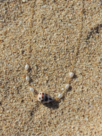 Hebrew Cone Shell Choker Necklace
