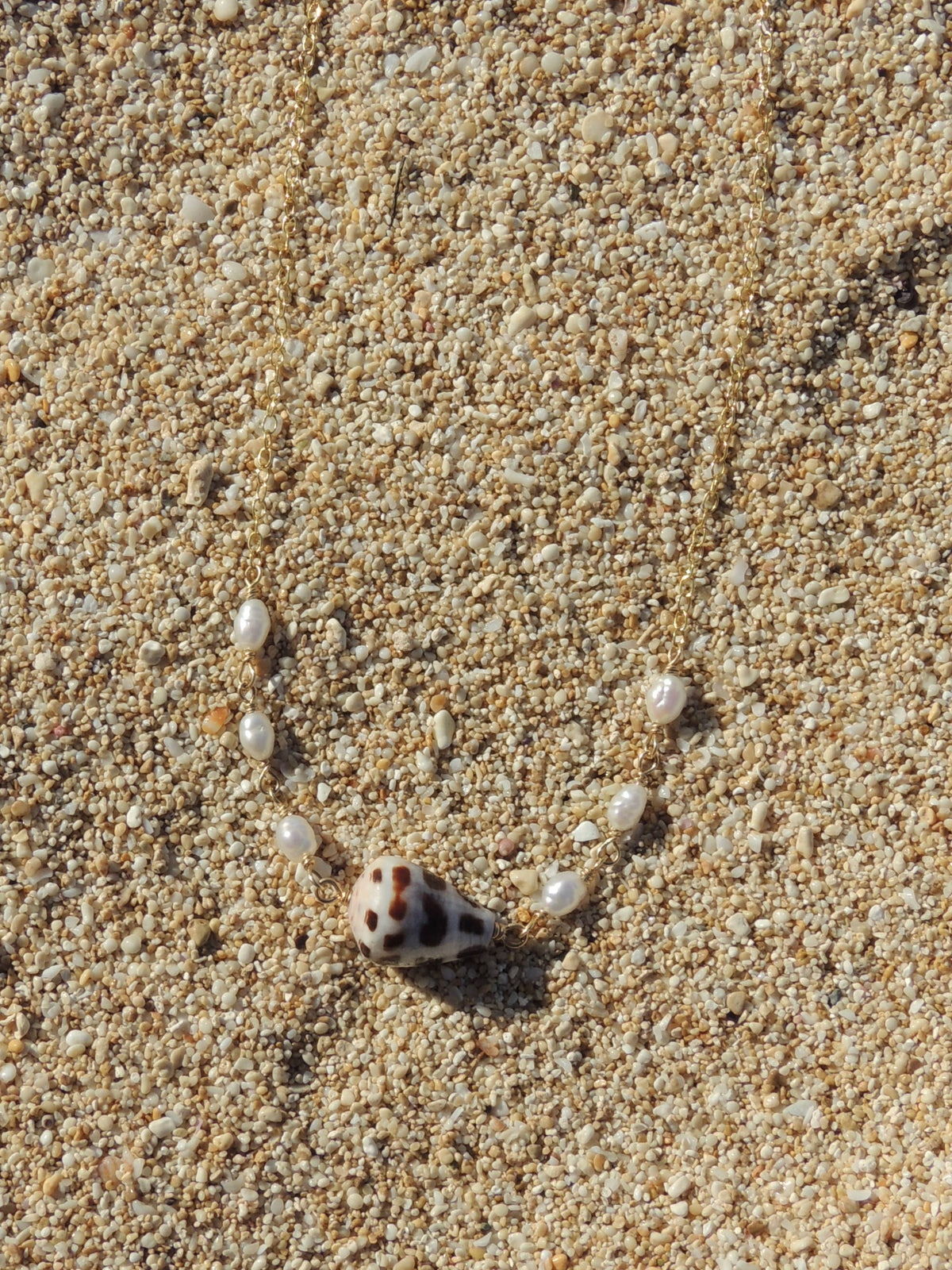 Hebrew Cone Shell Choker Necklace