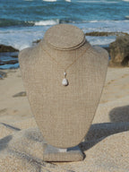Abbreviated Cone Shell Necklace
