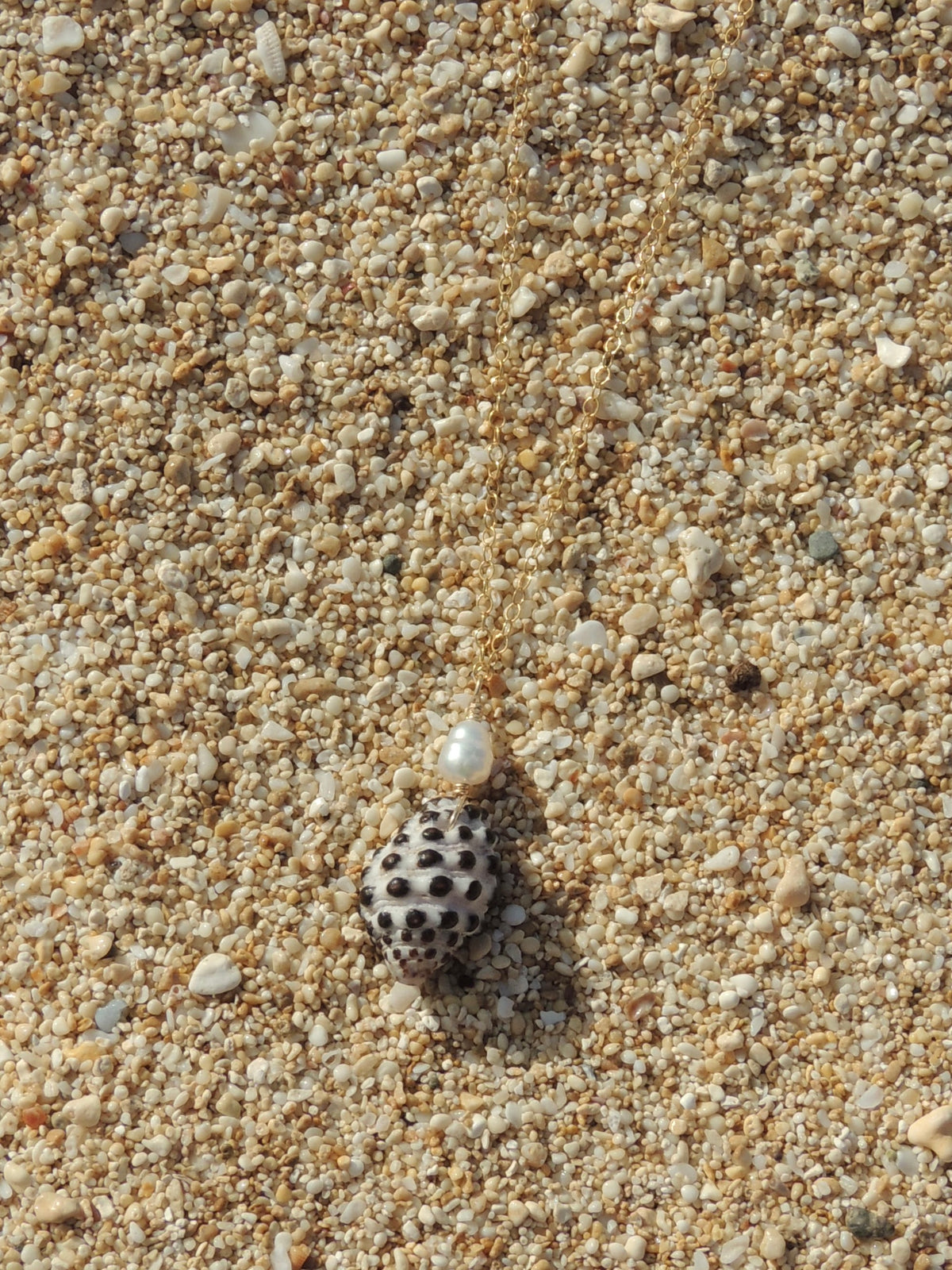 Drupe Shell Necklace