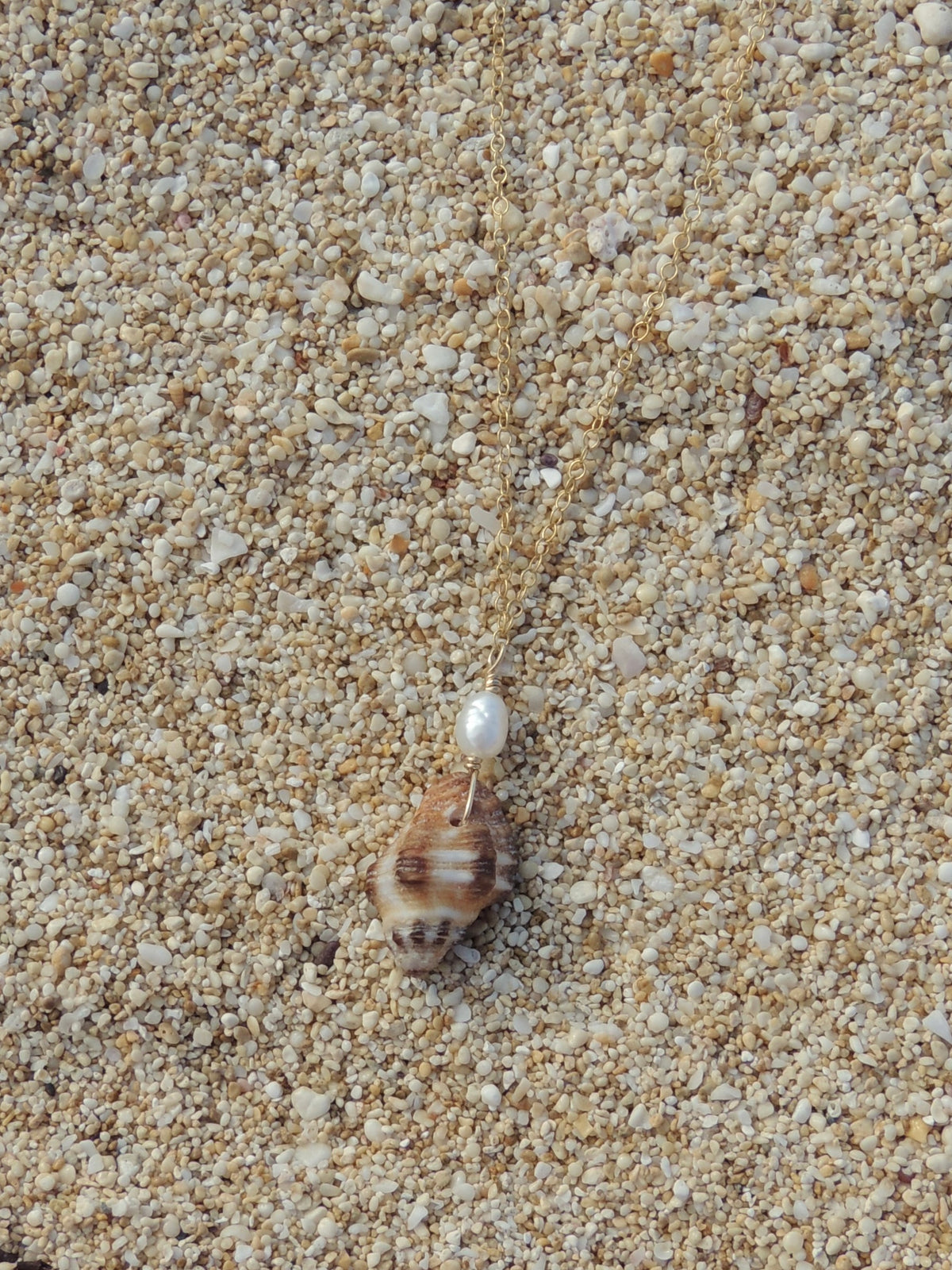 Triton Shell Necklace