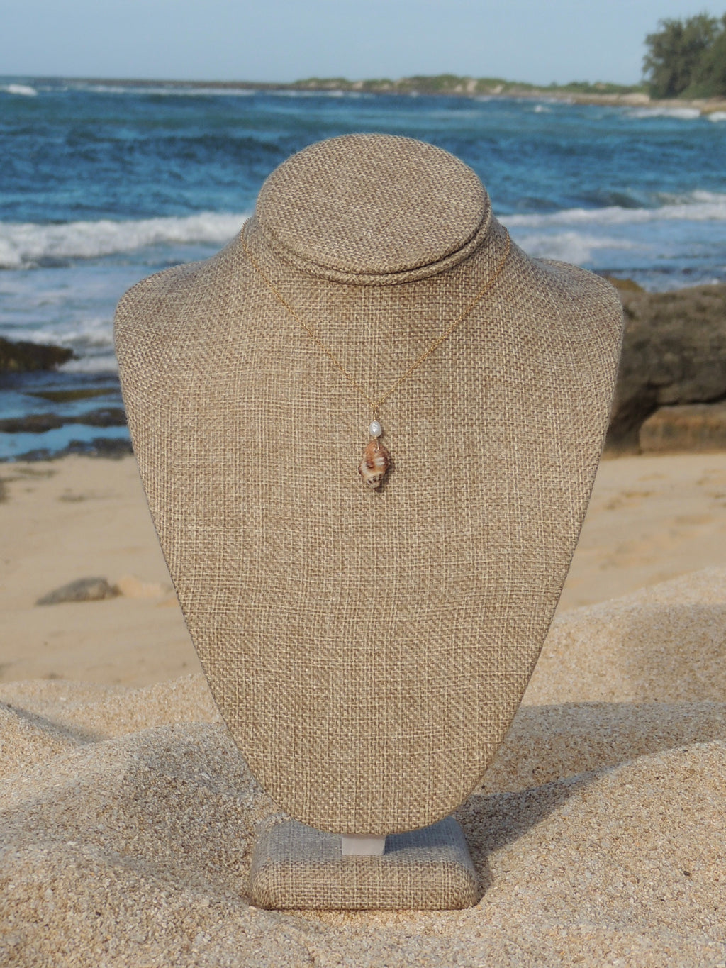 Triton Shell Necklace