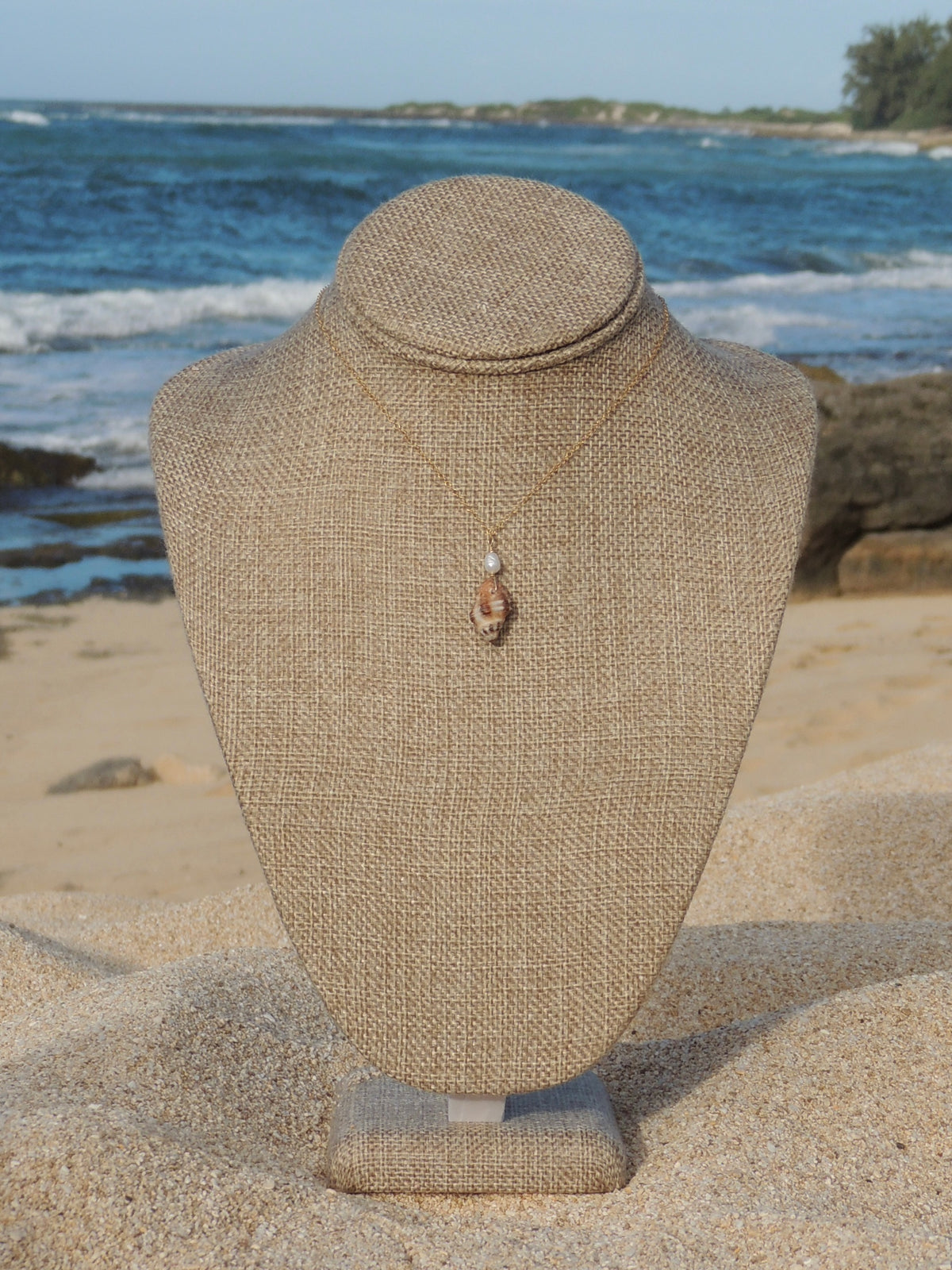 Triton Shell Necklace