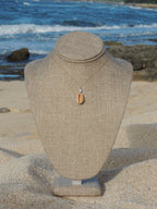 Honey Cowrie Shell Necklace
