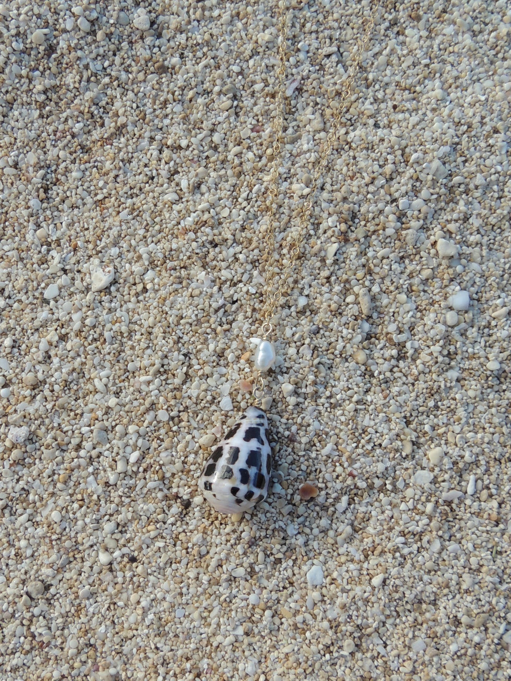 Hebrew Cone Shell Necklace