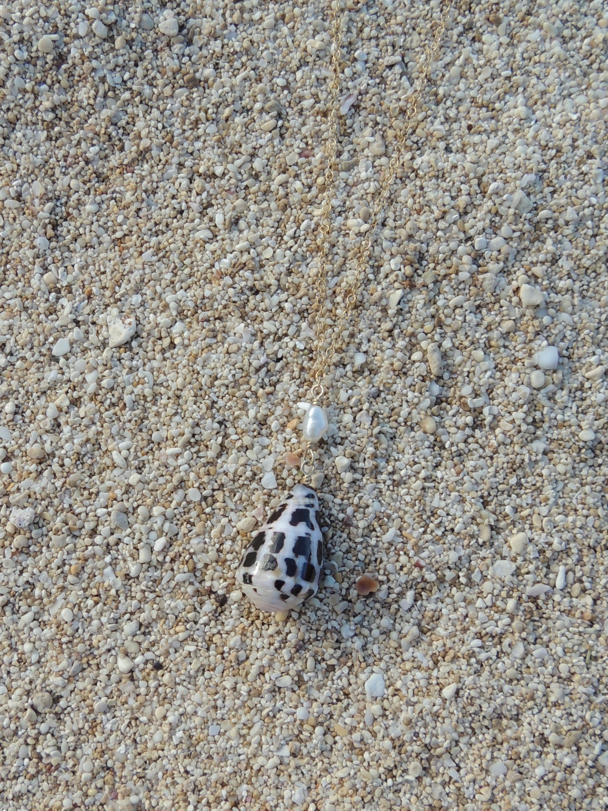 Hebrew Cone Shell Necklace