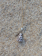 Hebrew Cone Shell Necklace