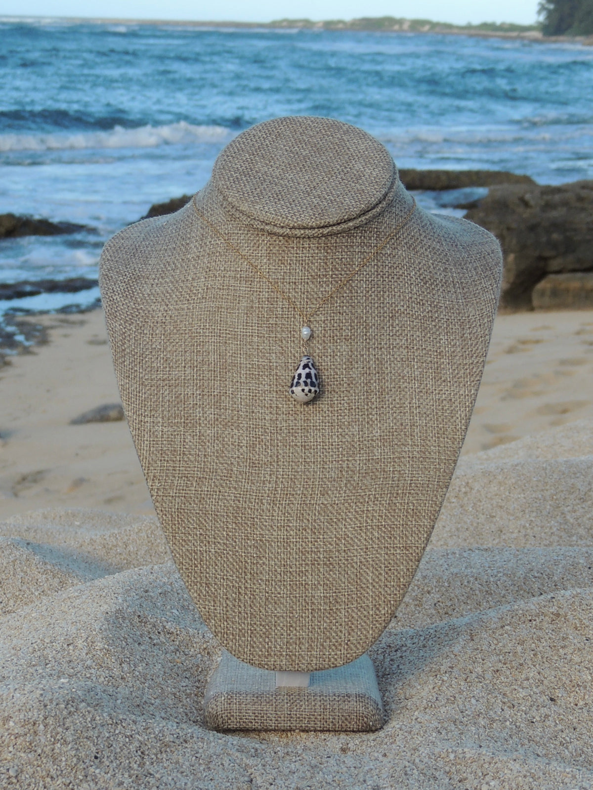 Hebrew Cone Shell Necklace