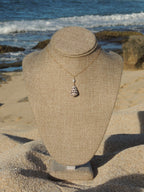 Hebrew Cone Shell Necklace