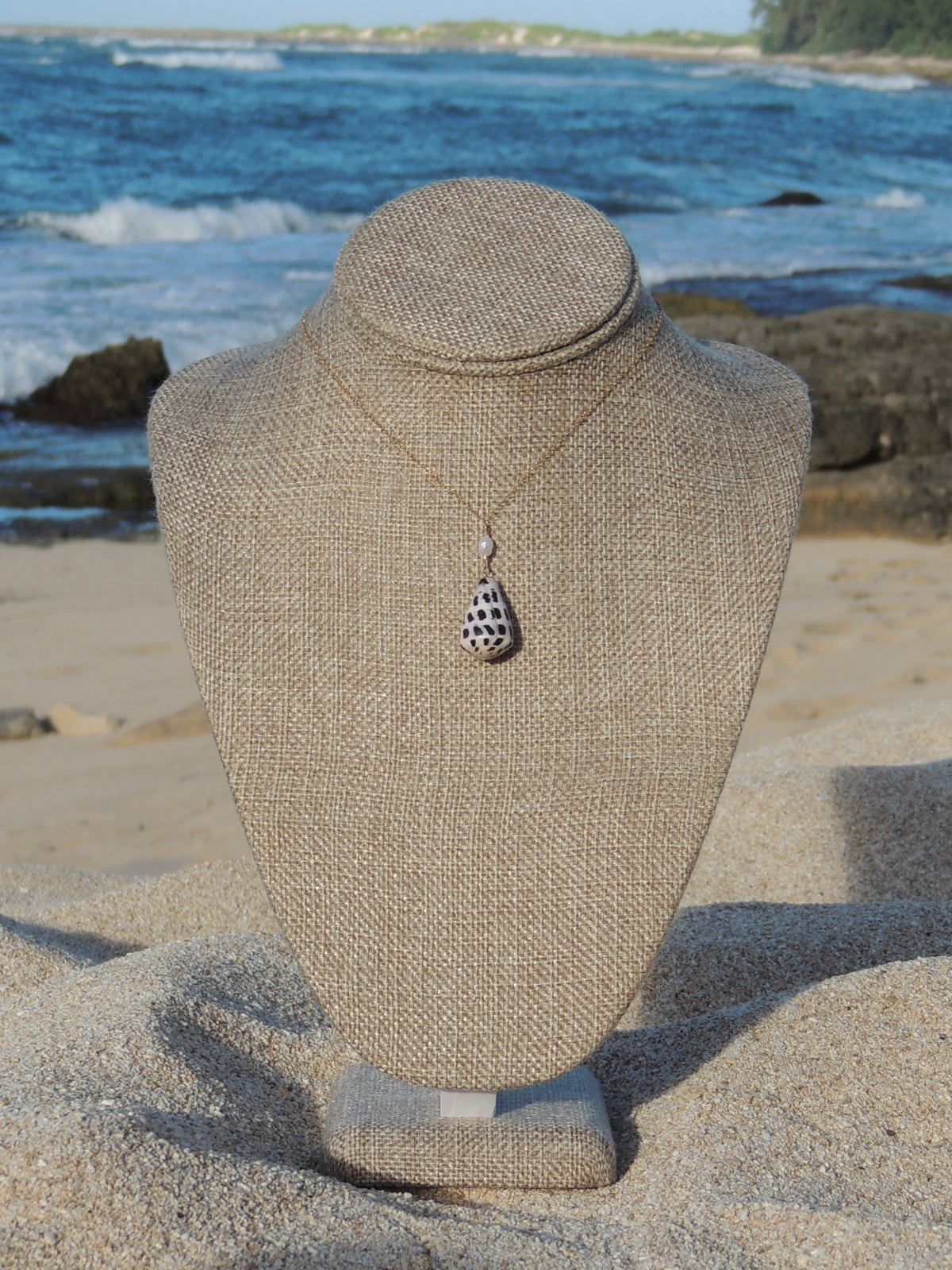 Hebrew Cone Shell Necklace