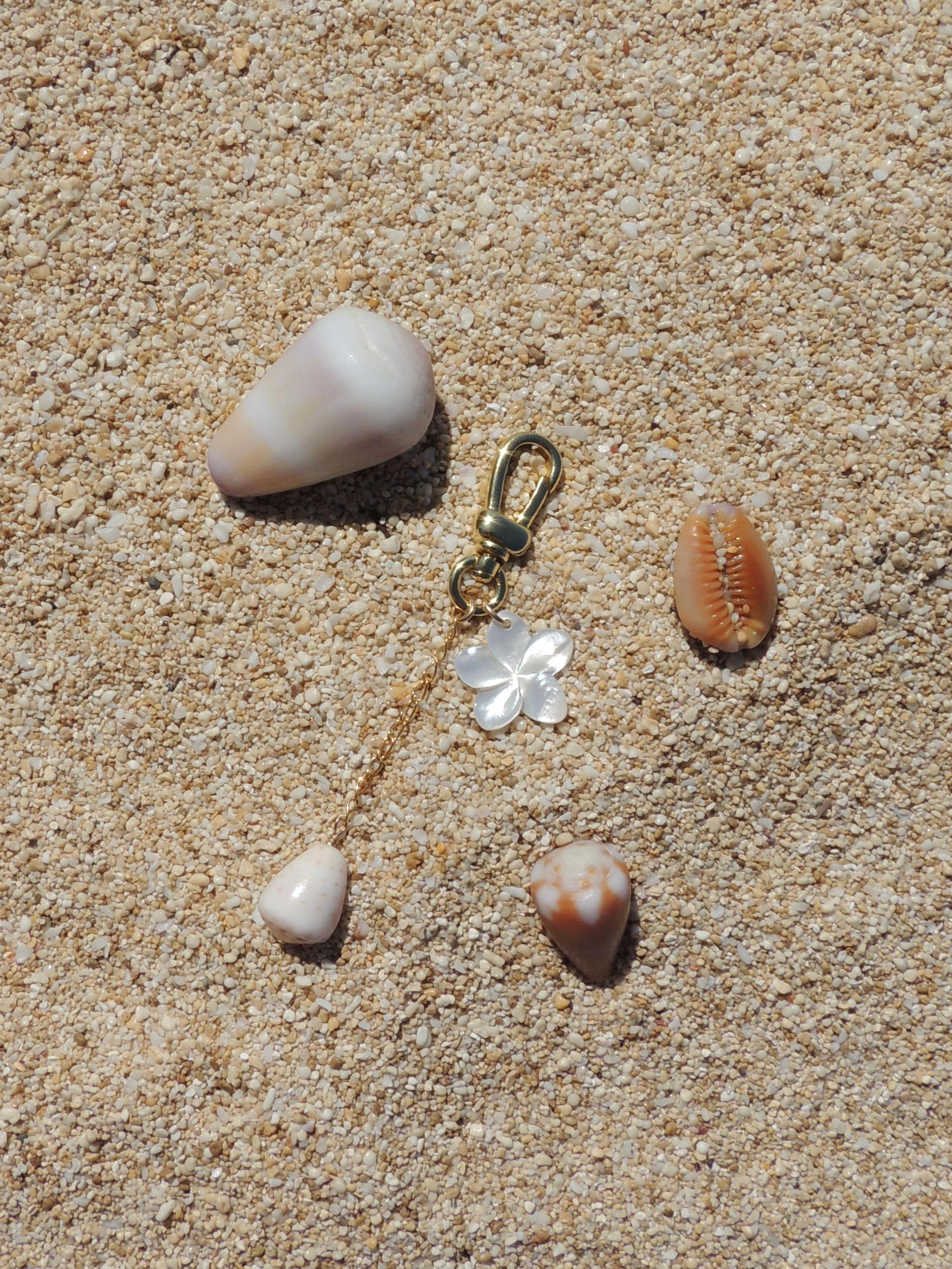 Cone Shell Keychain