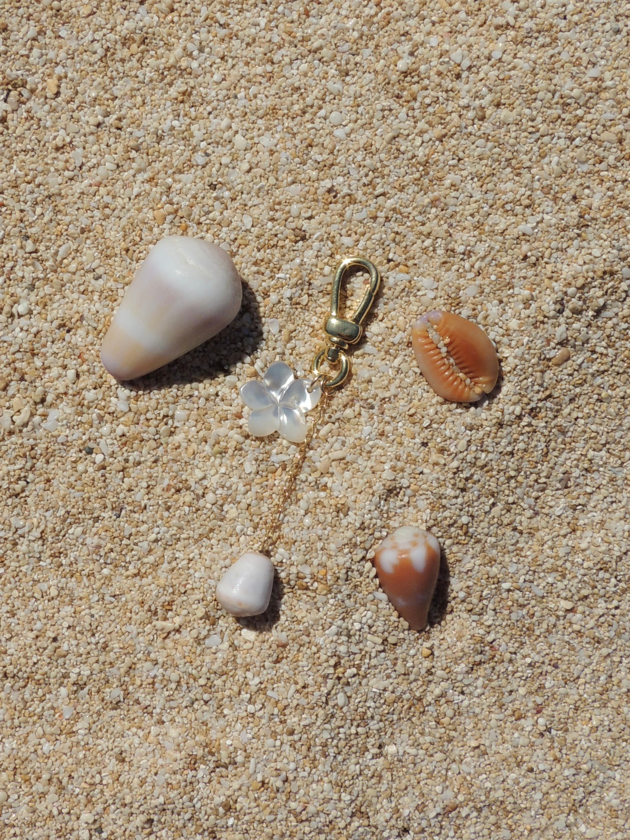Cone Shell Keychain