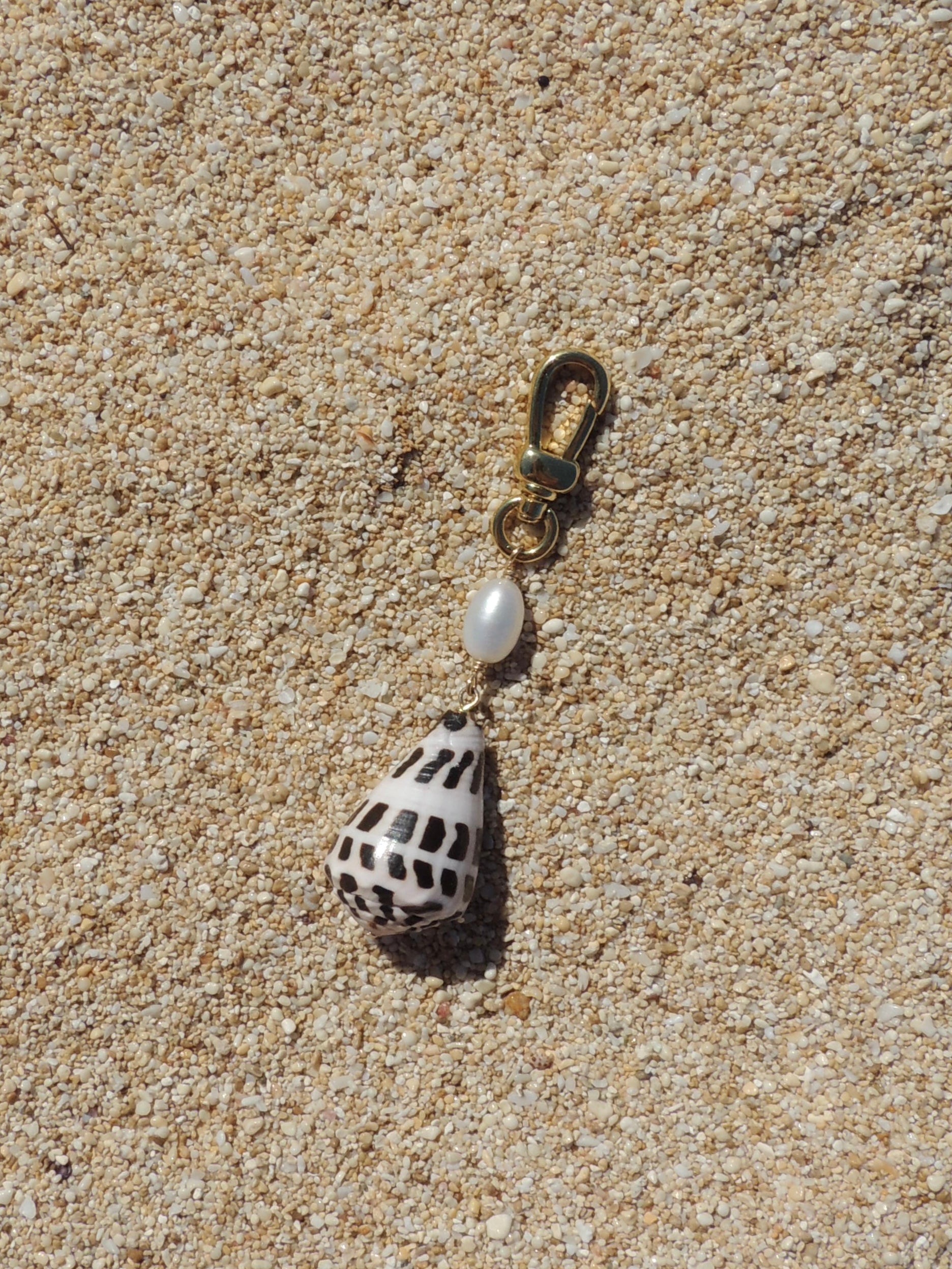 Hebrew Cone Shell Keychain