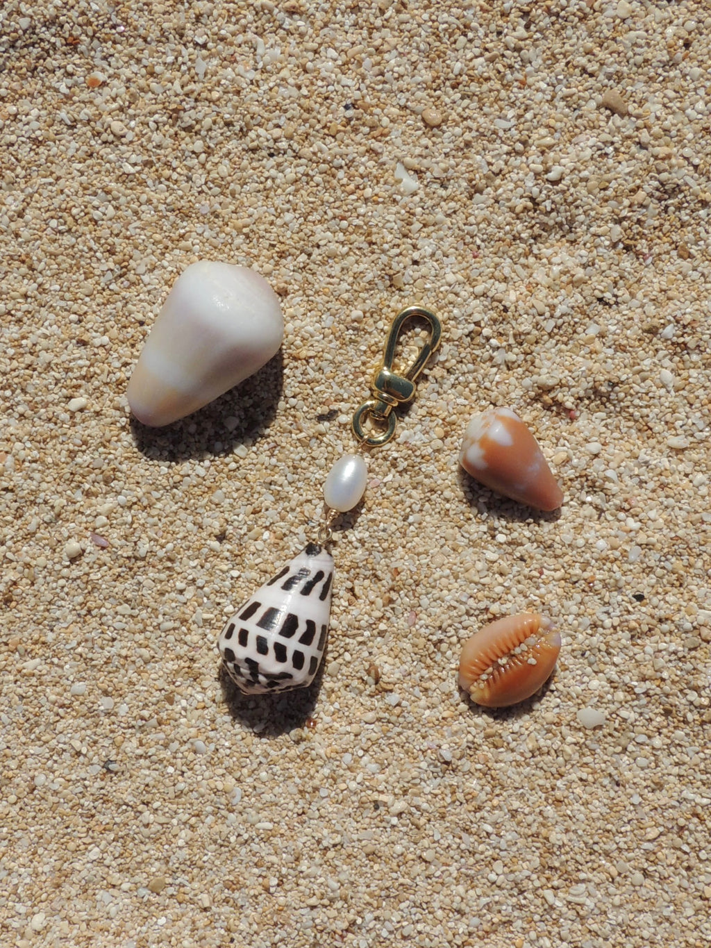 Hebrew Cone Shell Keychain