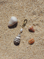 Hebrew Cone Shell Keychain